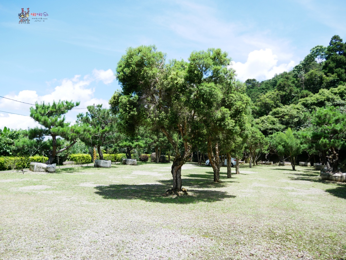悠然秘境小屋:山上的隱藏版下午茶,享受大自然的寧靜時光 - 第3張圖