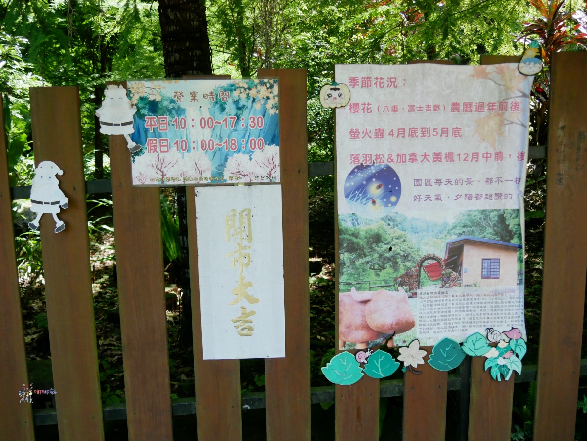 悠然秘境小屋:山上的隱藏版下午茶,享受大自然的寧靜時光 - 第5張圖
