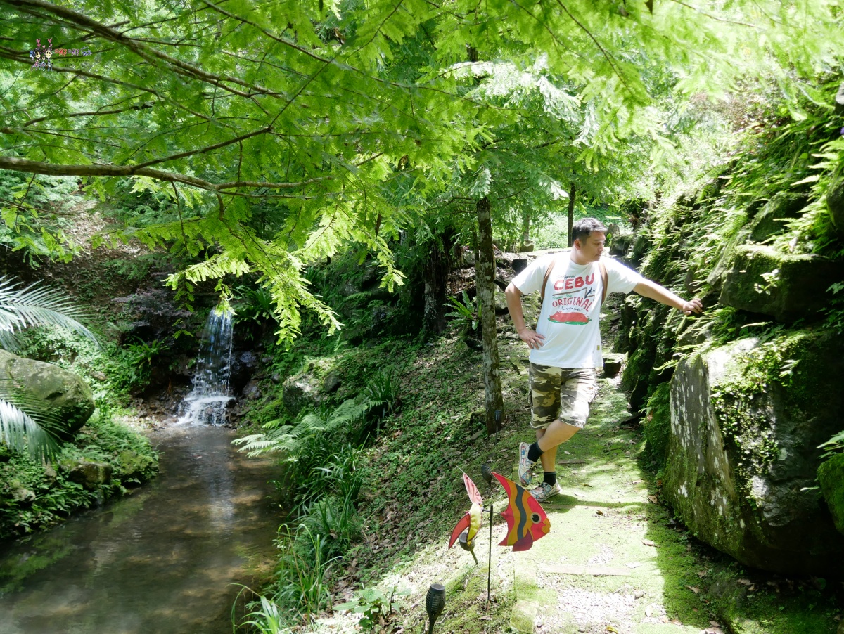 悠然秘境小屋:山上的隱藏版下午茶,享受大自然的寧靜時光 - 第13張圖