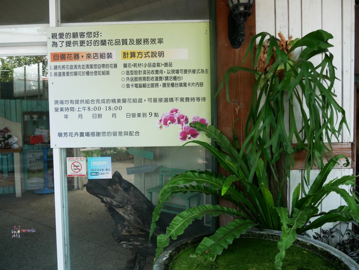 必訪【台中后里萌芳花卉農場】上萬株石斛蘭瀑布和超過500種蘭花! - 第10張圖