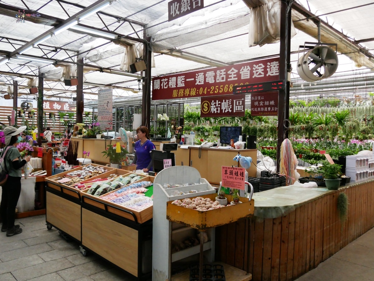 必訪【台中后里萌芳花卉農場】上萬株石斛蘭瀑布和超過500種蘭花! - 第5張圖