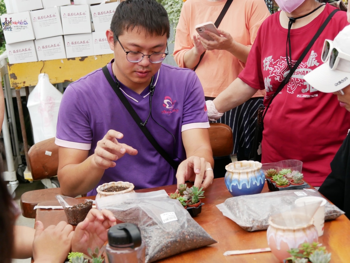必訪【台中后里萌芳花卉農場】上萬株石斛蘭瀑布和超過500種蘭花! - 第21張圖