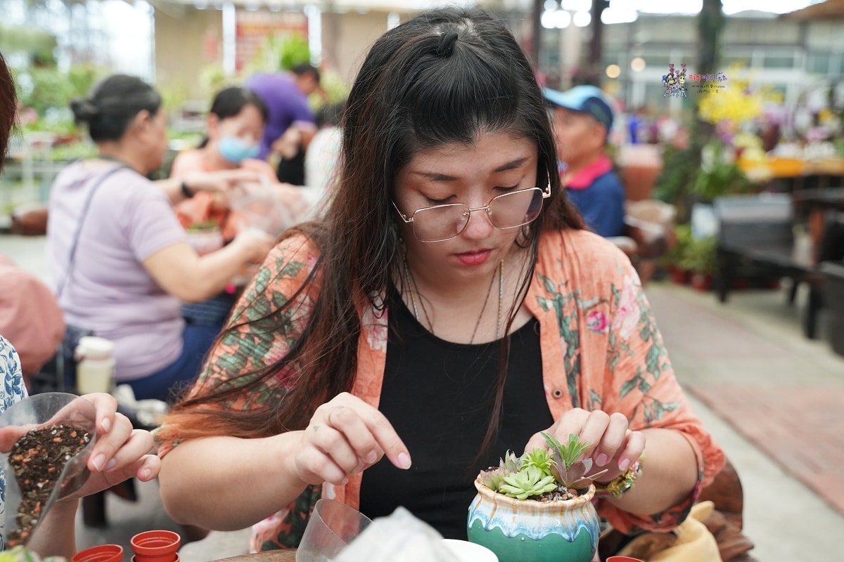 必訪【台中后里萌芳花卉農場】上萬株石斛蘭瀑布和超過500種蘭花! - 第22張圖
