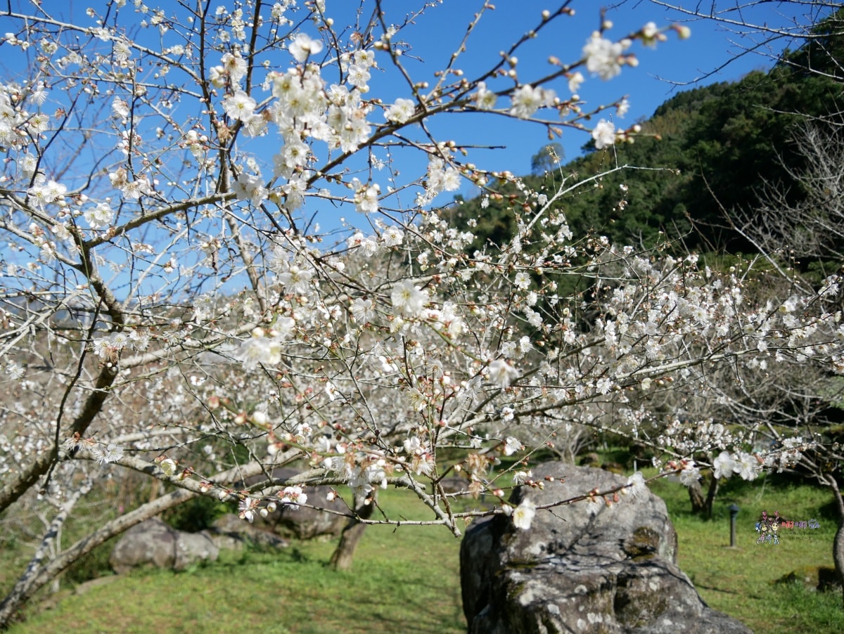 【新竹旅遊】內灣老街附近《錦屏美人湯館》露天風呂適合全家大小玩一整天,還有個人石甕溫泉! - 第3張圖